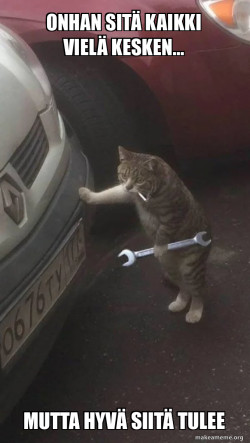 Mechanic Cat