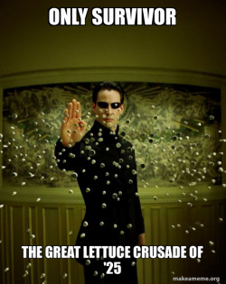 Neo Stopping Bullets