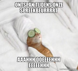 Pampered Cat Meme