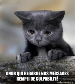 Confession Cat