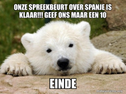 Popular Opinion Bear