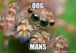 Hipster Spider