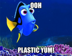 Dory from Nemo  (5 second memory)
