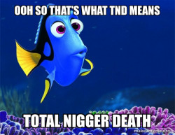 Dory from Nemo  (5 second memory)
