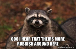 Evil Plotting Raccoon