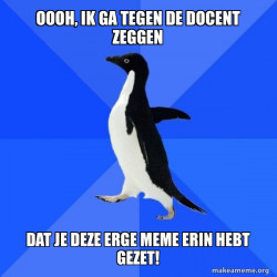 Socially Awkward Penguin