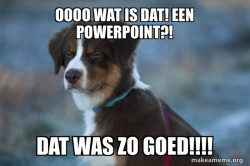 Unsure Dog