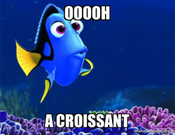 Dory from Nemo  (5 second memory)