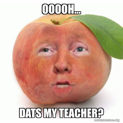 Impeached Donald Trump