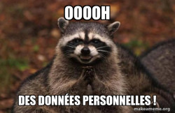 Evil Plotting Raccoon
