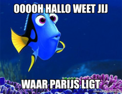 Dory from Nemo  (5 second memory)