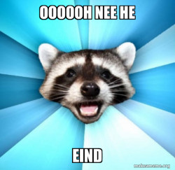 Lame Pun Coon