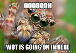 Hipster Spider