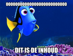 Dory from Nemo  (5 second memory)