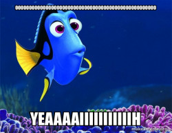 Dory from Nemo  (5 second memory)