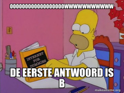 Internets Homer