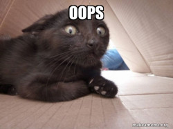 Schitzo Cat