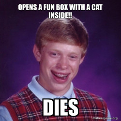 Bad Luck Brian