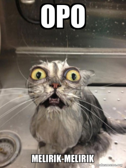 Cat bath