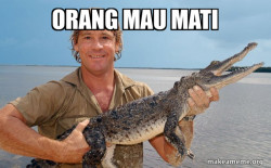 Steve irwin