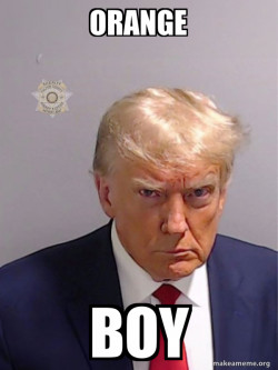Donald Trump Mugshot