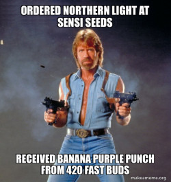 Chuck Norris