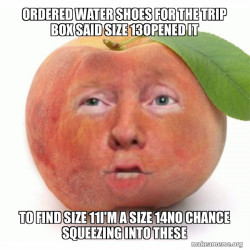 Impeached Donald Trump
