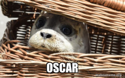 Impending Doom Seal