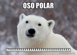  Polar Bear