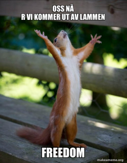 Happy Squirrel