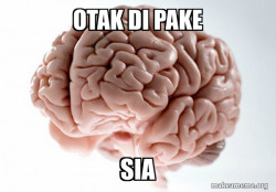 Scumbag Brain