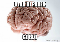 Scumbag Brain