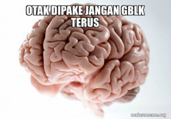 Scumbag Brain