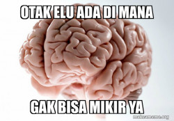 Scumbag Brain