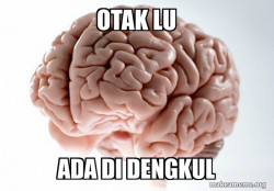 Scumbag Brain