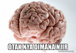 Scumbag Brain