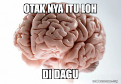 Scumbag Brain