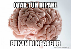 Scumbag Brain