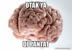 Scumbag Brain