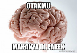 Scumbag Brain
