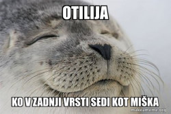 Satisfied Seal