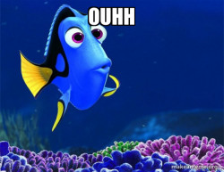 Dory from Nemo  (5 second memory)