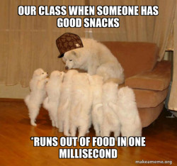 Scumbag Storytelling Dog