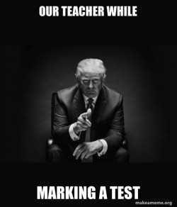 Trump Sitting In Chair - I Am In Their Way
