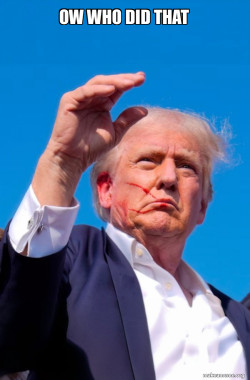 Trump Shot