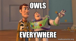 Buzz and Woody (Toy Story) Meme