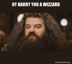 Hagrid - I should not have said that