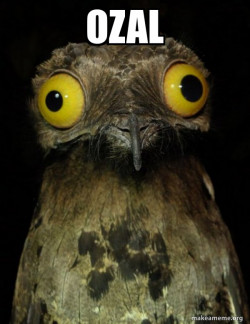 Weird Stuff I do Potoo
