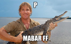 Steve irwin