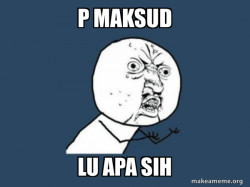 Y U No